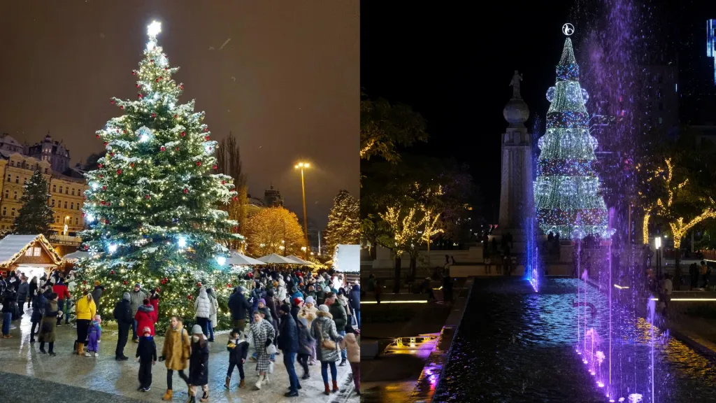 Vánoční stromy v Česku i ve světě
