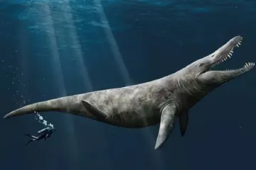 Vládce pravěkých oceánů překusoval krokodýly napůl. Byl ještě větší, než paleontologové předpokládali