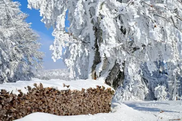 Vánoce v bílém jsou spíše výjimkou než pravidlem. V posledních letech je ukusuje série teplých svátků