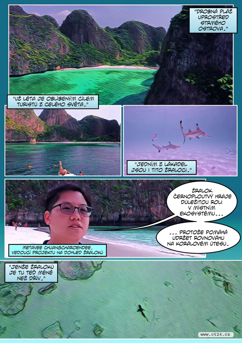 Turisté plaší žraloky