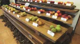 Regionální výstavy ovoce, ovocných a okrasných dřevin v Boskovicích