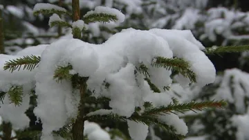 První sníh v Čechách