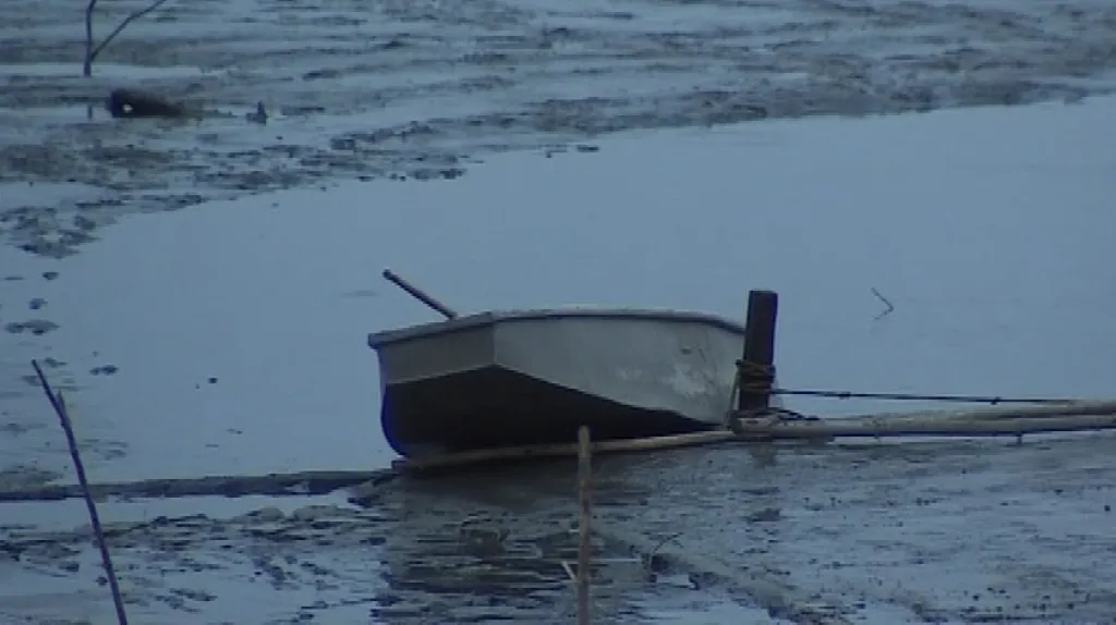 Rybník
