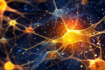 Vědci se pokoušejí nahradit počítače miniaturními lidskými mozečky