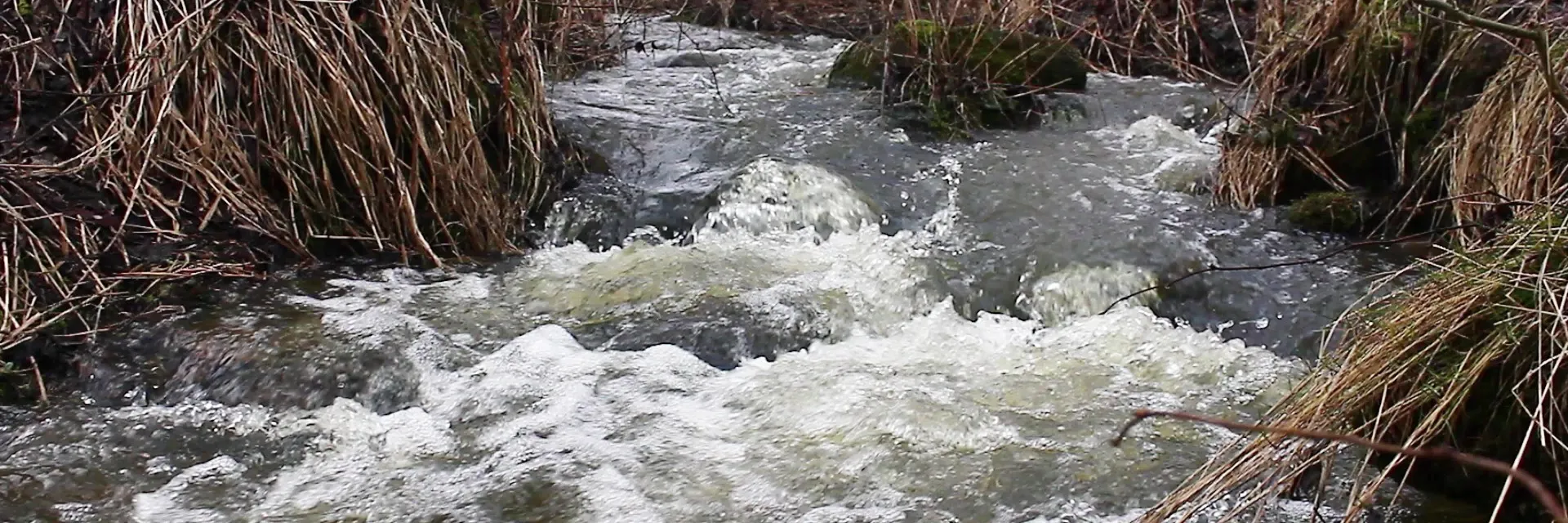 Obleva zvedla hladiny řek na povodňové stupně
