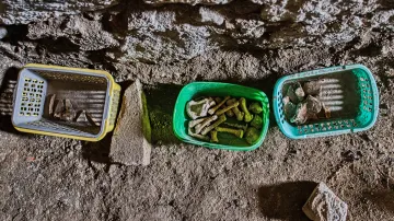 Revitalizace a archeologický výzkum v klášteře Rosa coeli