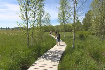 Správa Národního parku Šumava omezí investice do infrastruktury. Letos byly výrazné