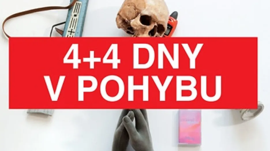 4+4 dny v pohybu 2010