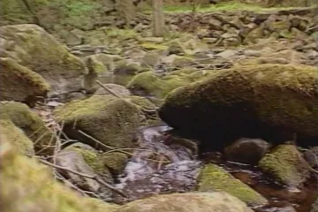 30 let zpět: Železné hory se staly chráněnou krajinnou oblastí