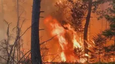 Požár v Národním parku České Švýcarsko v roce 2022