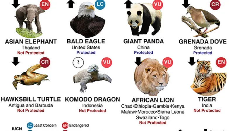 Ohrožená zvířata