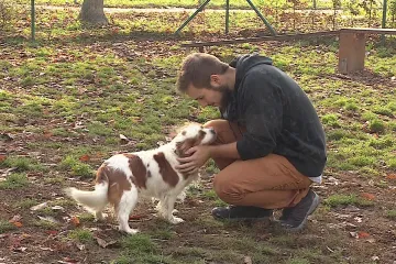 Židenice vyjdou vstříc pejskařům. Zbudují tříhektarový výběh