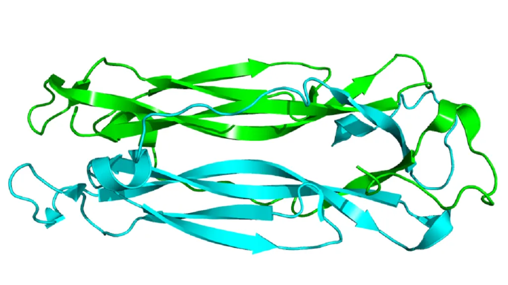 Protein interleukin 17