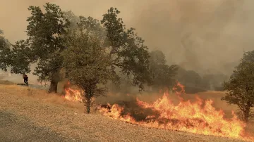 Lesní požáry se kvůli suchu a vedru rychle šíří