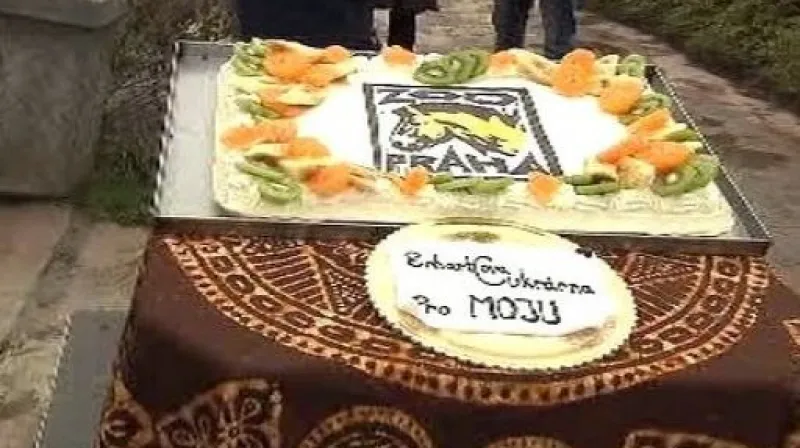 Moja slaví narozeniny