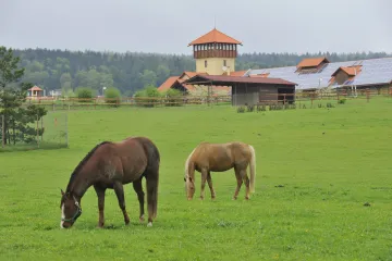 Bývalá farma Bolka Polívky má nového majitele