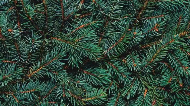 Komentář Martina Maříka