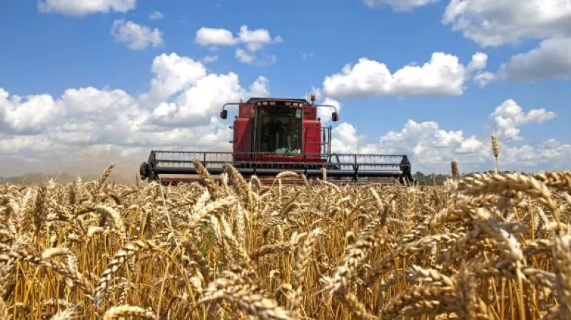 Jurečka: Za dobrými výsledky nestojí pouze dotace