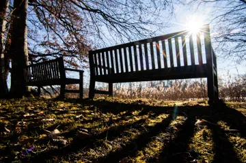 Půlku ledna ovlažily teplotní rekordy. Na Šumavě bylo jaro