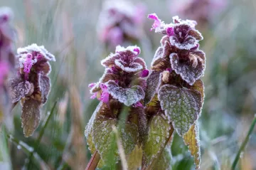 Česko má za sebou mrazivé ráno, na Šumavě bylo minus deset