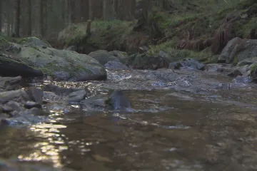 U Potůčků v Krušných horách by mohl vzniknout kamenolom. Ochránci přírody a radnice nesouhlasí