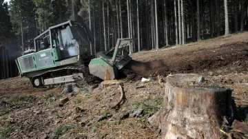 Experti frézují pařezy na nové sjezdovce