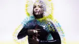 Björk / Vulnicura
