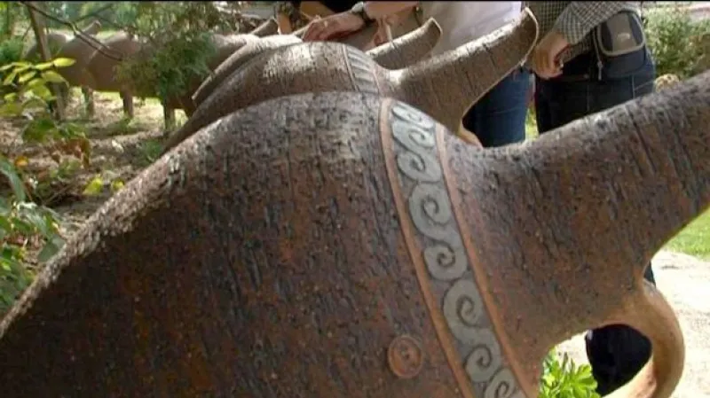 Reportáž Elišky Bučinové