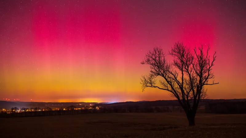 Silná polární záře, Dětřichov u Frýdlantu (20. 1. 2025, 23:15)