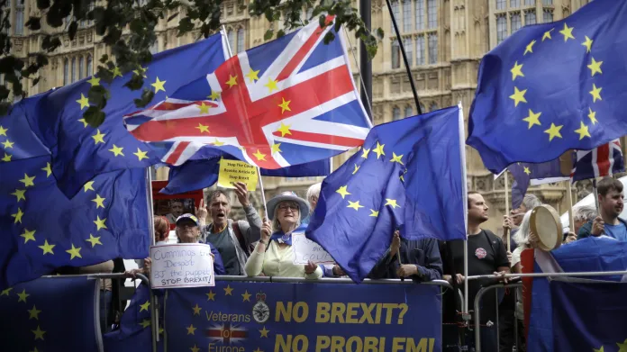 Protest stoupenců setrvání v EU před britským parlamentem