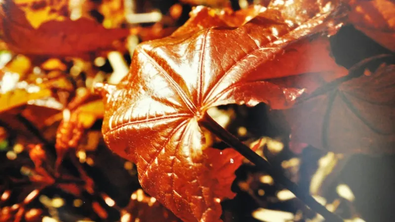 Z výstavy Evy Vokaté a Vlasty Fišrové