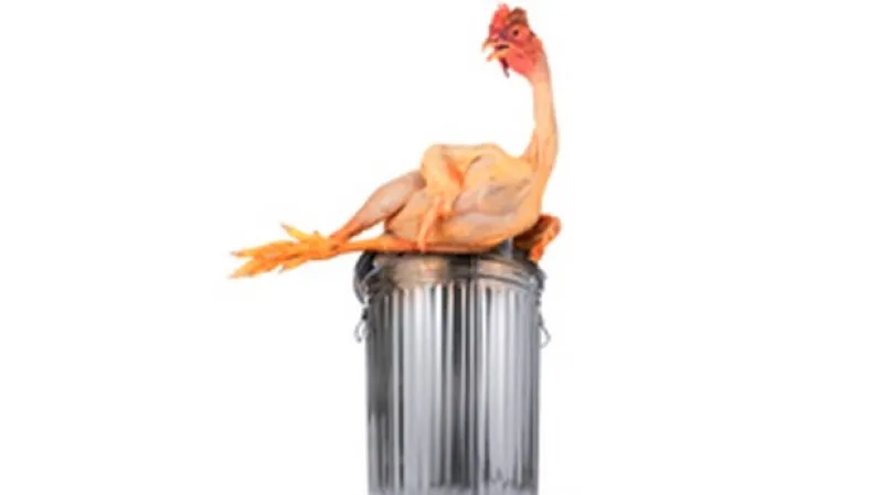 Z popelnice do lednice / Taste The Waste