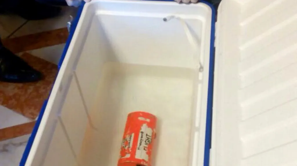 Nález černé skříňky z egyptského letadla