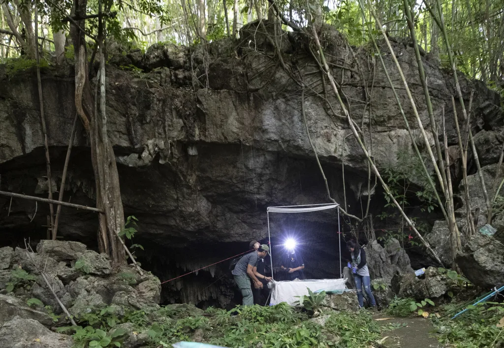 Thajští vědci zkoumají původ virů u netopýrů. Pro odchyt létajících savců si vybrali Netopýří jeskyni v národním parku Sai Yok západně od Bangkoku
