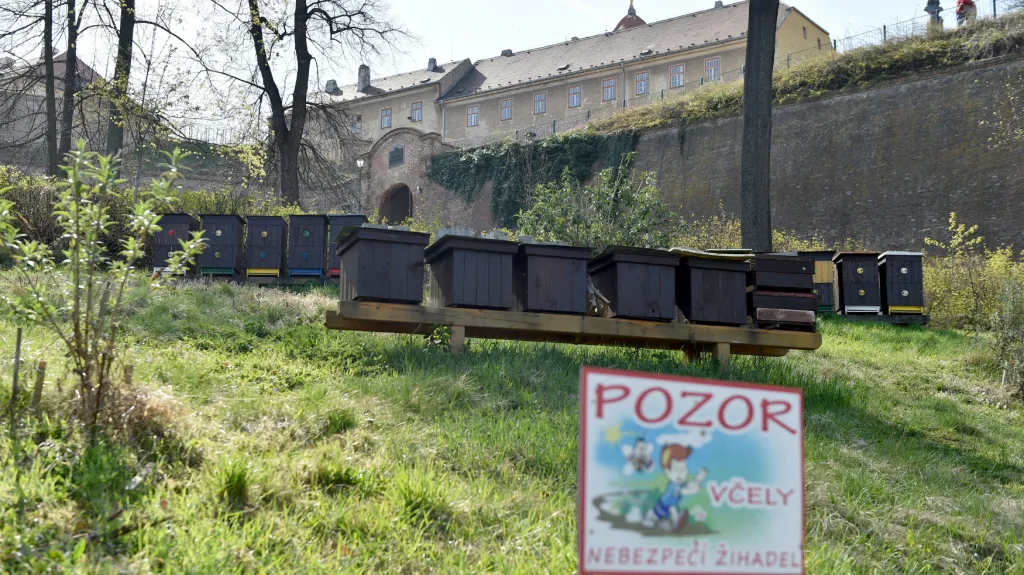 Včelíny pod hradem Špilberk v Brně