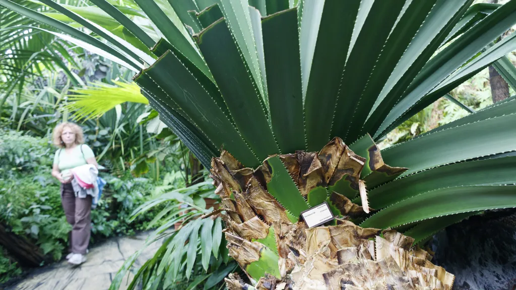 Botanická zahrada Praha