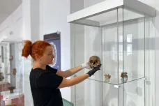 Výstava ve Znojmě ukáže, jak se pohřbívalo v mladší době kamenné