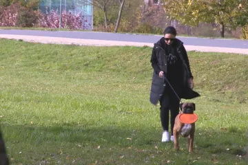 Pejskaři ve Zlíně chtějí venčit bez omezení. Stovky lidí podepsaly petici proti městské vyhlášce