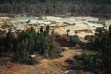 V červnu v Brazílii ubylo rekordní množství amazonských lesů