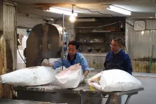 OBRAZEM: Největší a nejslavnější rybí trh světa končí. Musí ustoupit tokijské olympiádě