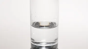 Ján Mančuška, The Amount of Water I’m Able to Hold in My Mouth Without It Vanishing, 2006