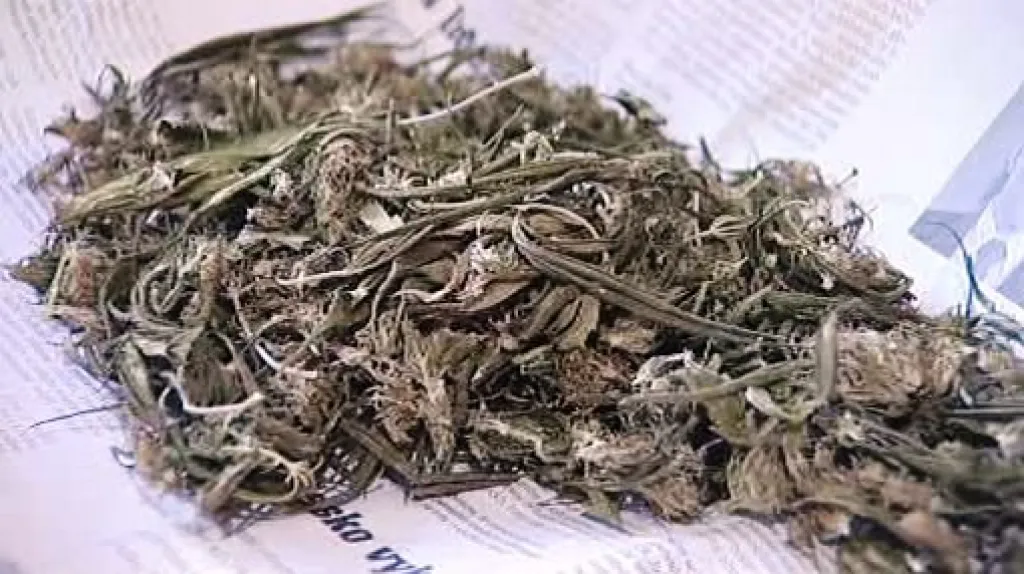 Marihuana