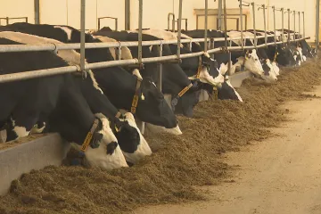Družstva nesouhlasí s podmínkami přerozdělování dotací. Zvýhodňují podle nich menší zemědělce