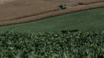 Sójová pole v Amazonii