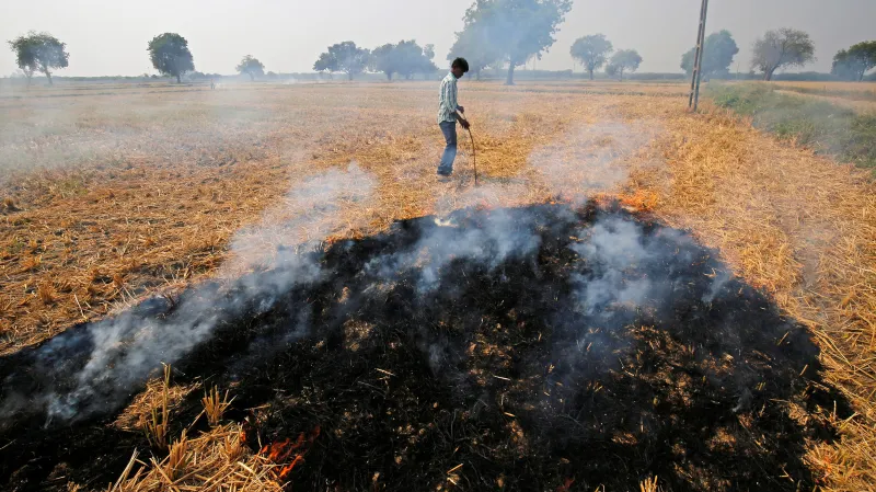 Pálení zbytků zemědělských plodin
