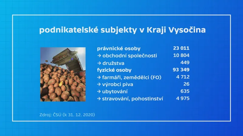 Podnikatelské subjekty v Kraji Vysočina