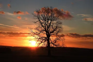 Podzim kreslí barevné kompozice. Ve hře jsou úhly i pigmenty