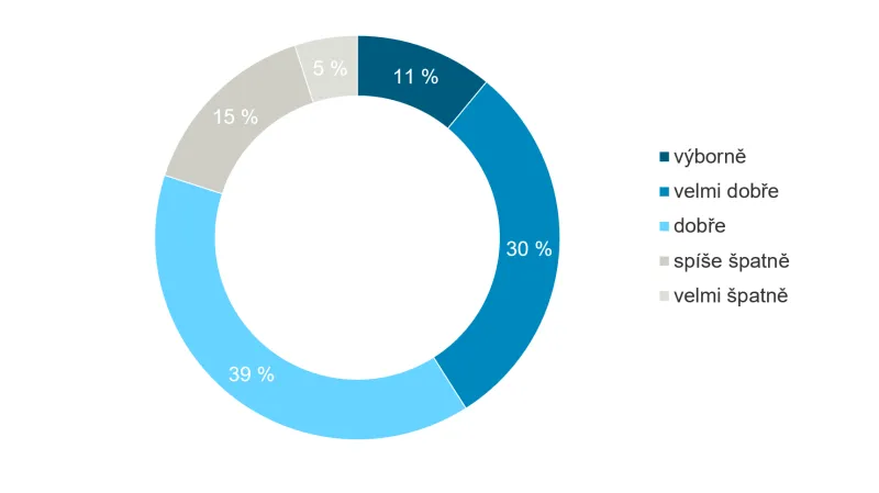 Jak podle vás celou situaci vláda do této chvíle zvládá?