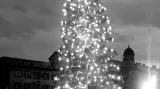 Vánoční strom na náměstí Svobody v roce 1948