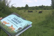 O praturech v Milovicích vznikly pohádky